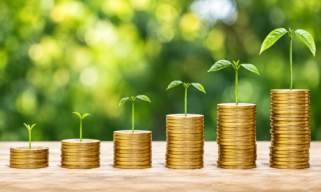 How much should you have saved by 40 with growing stacks of coins and plants